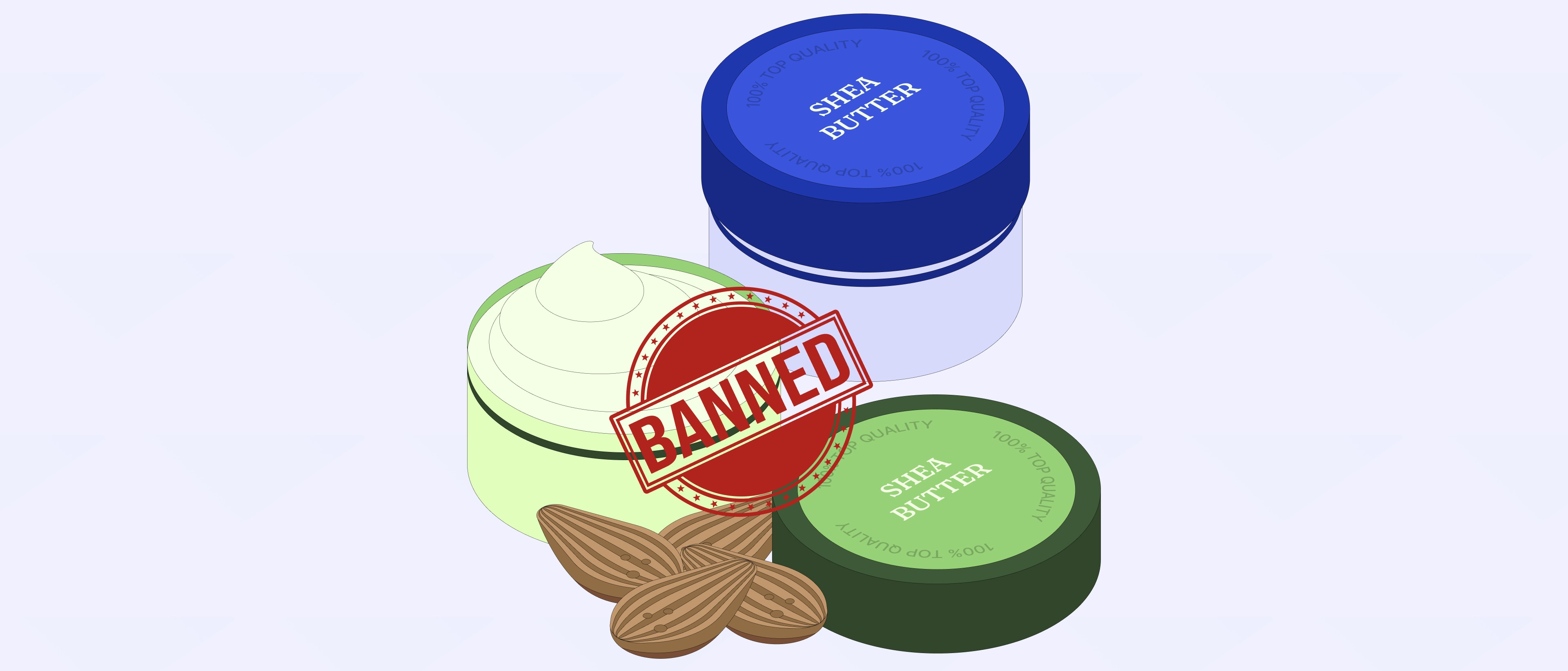 Export Bans on Raw Shea Nuts Could Unlock Local Value